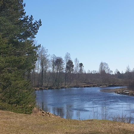 Villa Rannapungerja Puhkemaja Extérieur photo